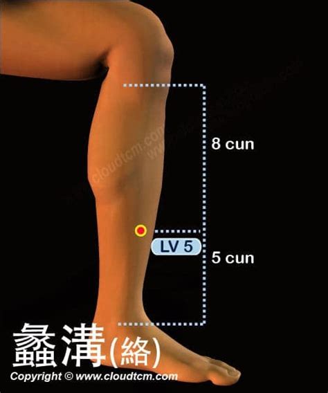 離溝穴|蠡溝穴可改善性功能亢進,強陽,陰癢